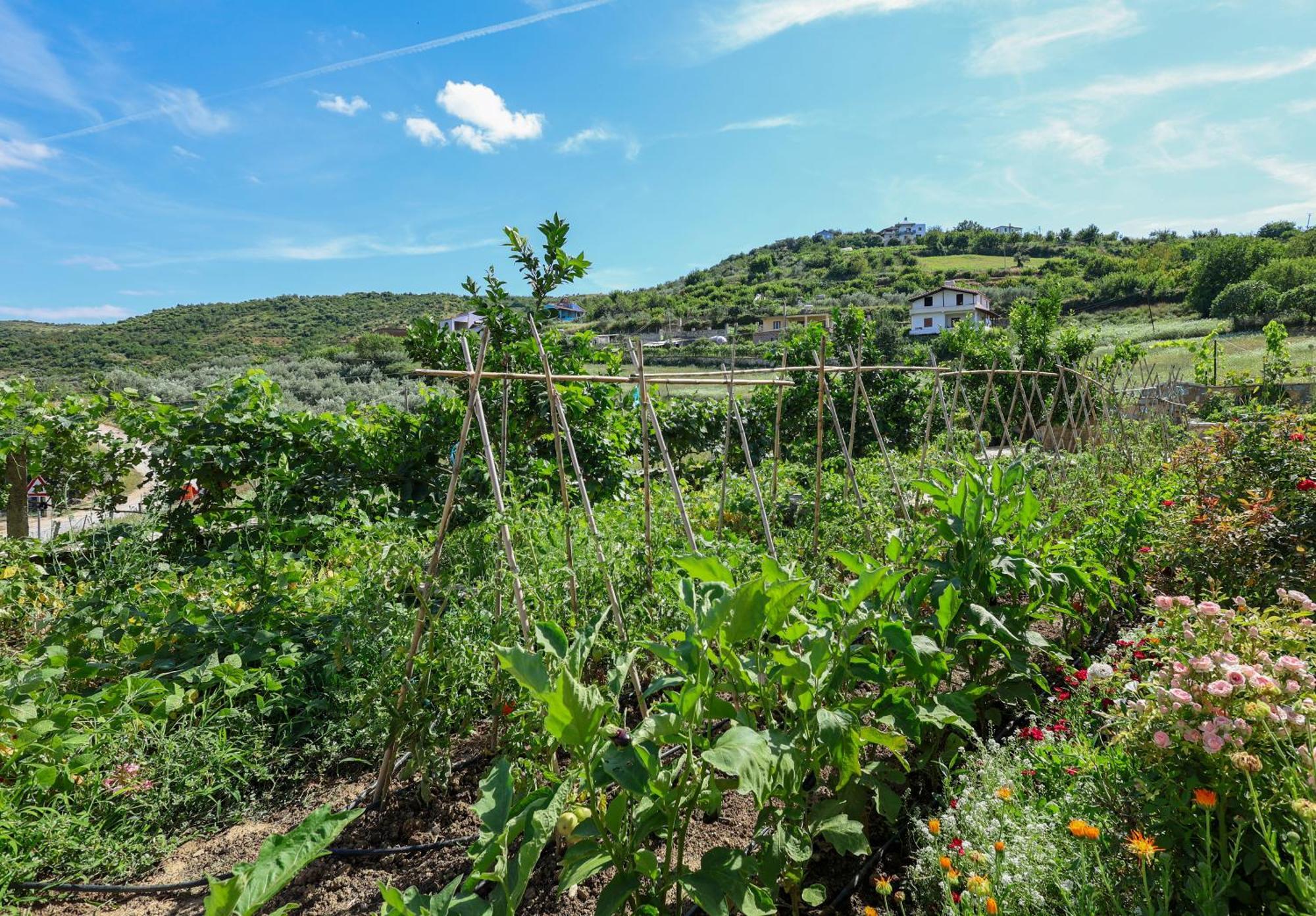 Xherimeja Family Oasis * Berat